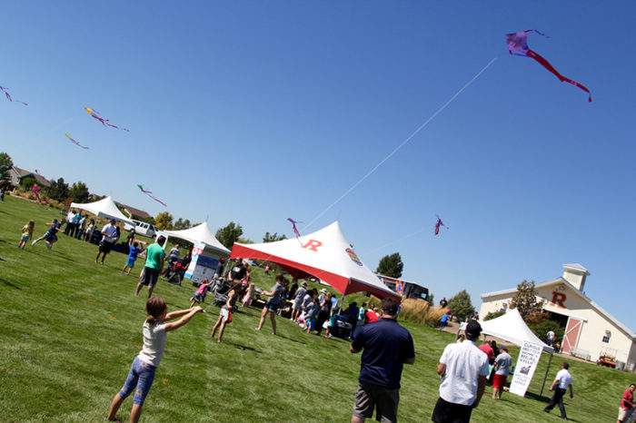 Kite and Flight Festival 2016 - Kite