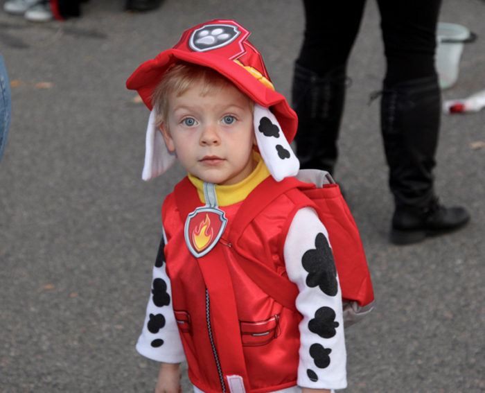 Trunk or Treat 2016 - Dog Costume