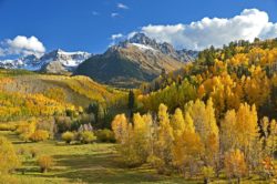 Fabulous Fall Foliage: The Best Places To View Changing Leaves