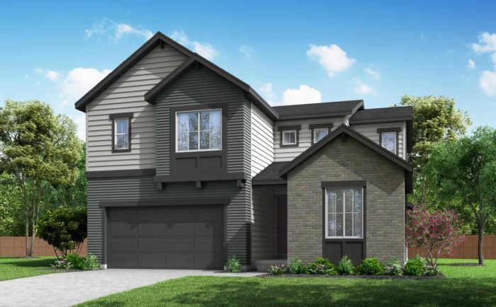 Now Selling: Tri Pointe Homes at Reunion Ridge