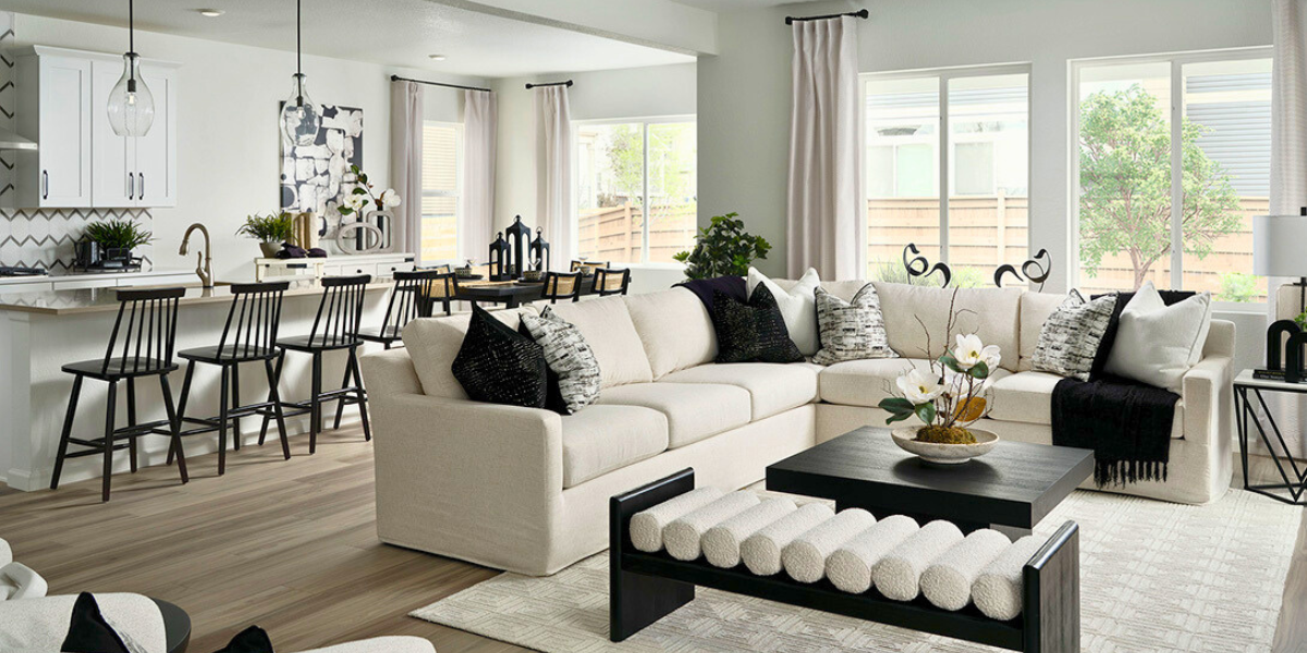 Open kitchen and living room. 