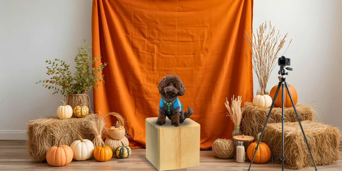 Photo booth setup with a dog surrounded by autumn scenery.