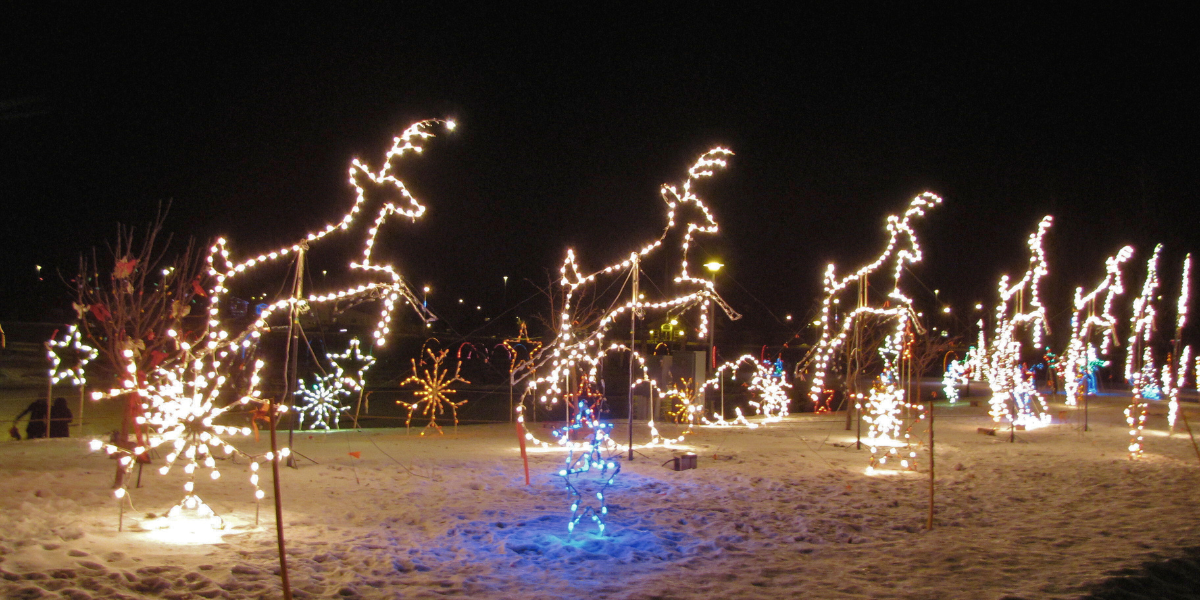 Art of reindeer decorated in festive lights. 
