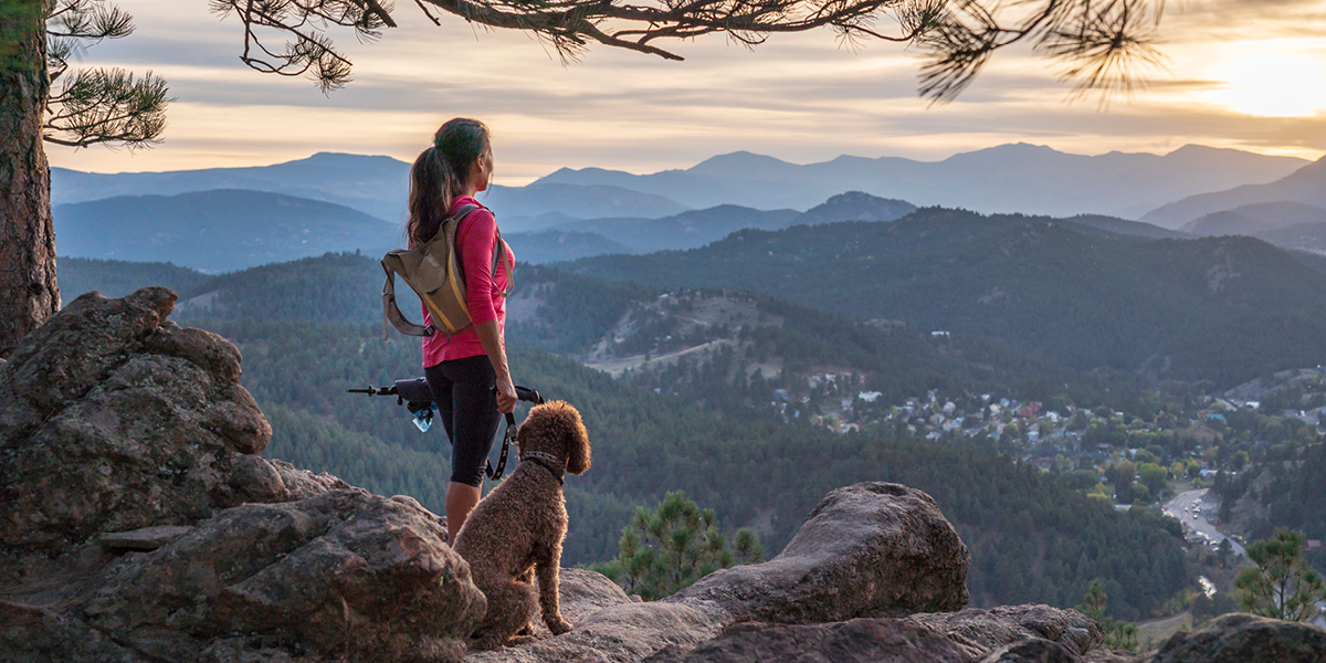 A Wagworthy Lifestyle: Living the Good Life in Reunion