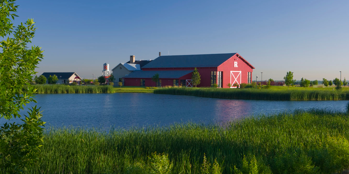 The Best Place to Be This Summer? Reunion