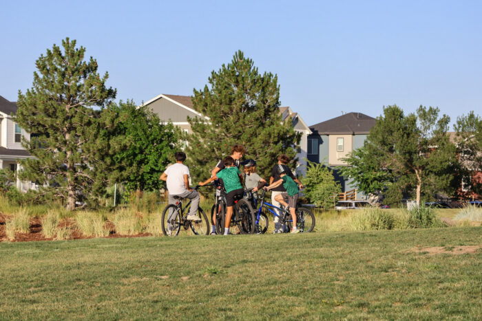 8 IMG 5621