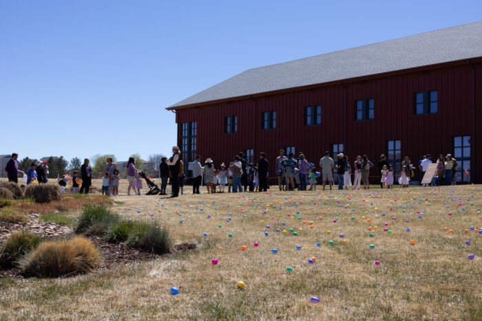 2026 Easter Egg stravaganza 15