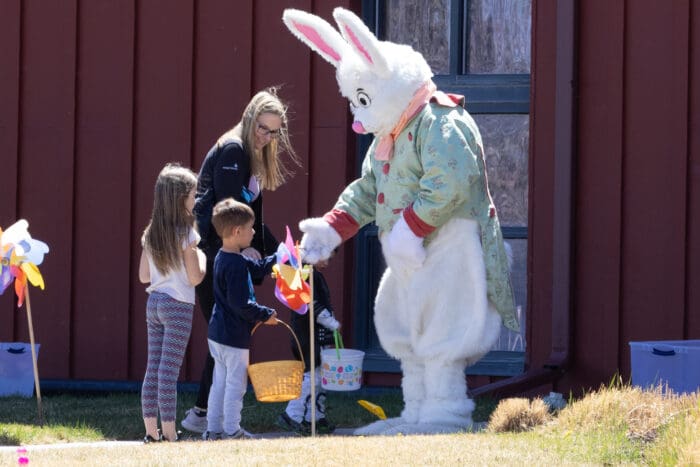 2026 Easter Egg stravaganza 2