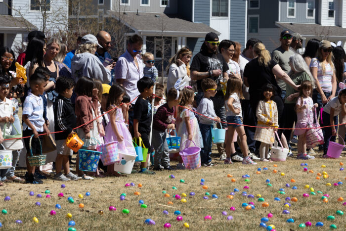 2026 Easter Egg stravaganza 4