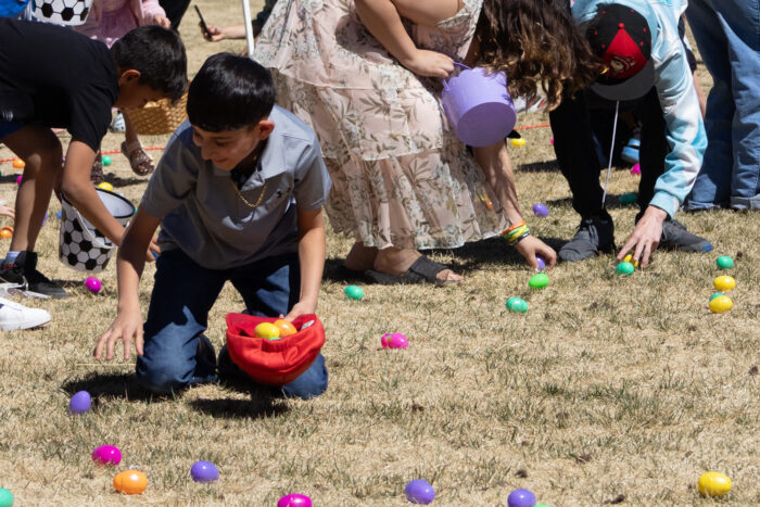 2026 Easter Egg stravaganza 7